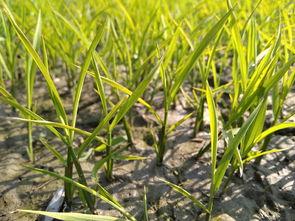 贵州十大交通事故赔偿律所2025年排行榜前十名榜单出炉