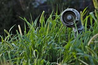 贵阳十大人气餐馆2025年排行榜前十名榜单出炉