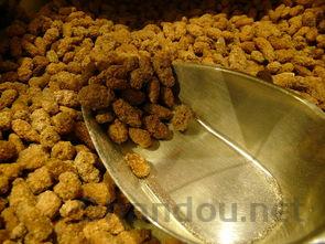 中国足球历史十大球星2025年排行榜前十名榜单出炉