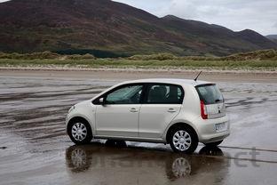 猫咪口腔后部黏膜有水泡是咋回事?要如何应对?