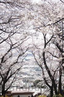 美国十大经典纪实剧2025年排行榜前十名榜单出炉