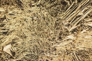 泉州十大刑事律师事务所2025年排行榜前十名榜单出炉