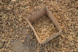 泉州十大刑事律师事务所2025年排行榜前十名榜单出炉