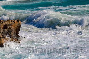 史上巨兽十大排名(全纪实史前十大巨兽排行榜)