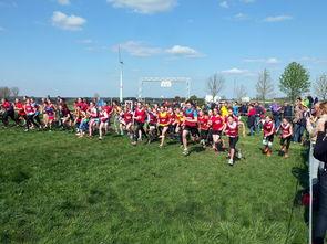 在中国最受欢迎的体育运动,中国最注重的体育