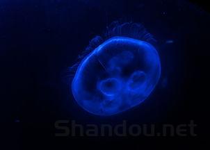 世界上好看的作品排名前十,全世界最好看