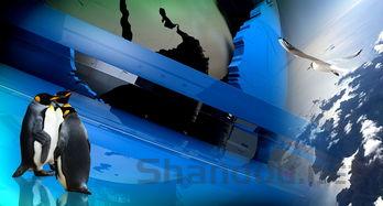 失落的宝藏!,世界上最失落的宝藏