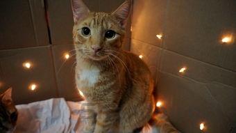 世界上最搞笑图片表情包,世界上最搞笑图