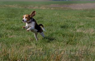 世界上最搞笑图片表情包,世界上最搞笑图