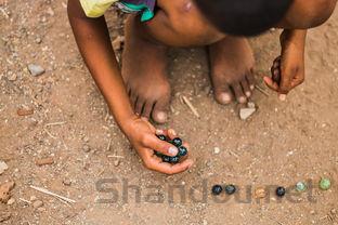 小猫右侧腮腺肿了是什么原因导致的?小猫右侧腮腺肿了该用什么办法?