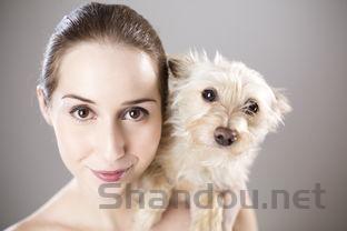 狗狗皮肤出现三四个不同的小口子是什么原因?该咋整?