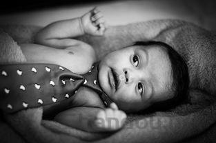 狗狗半夜拉屎是什么原因?狗狗半夜拉屎要吃药吗?