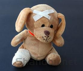 泰迪狗不拉屎的缘由何在?泰迪狗不拉屎该如何解决?